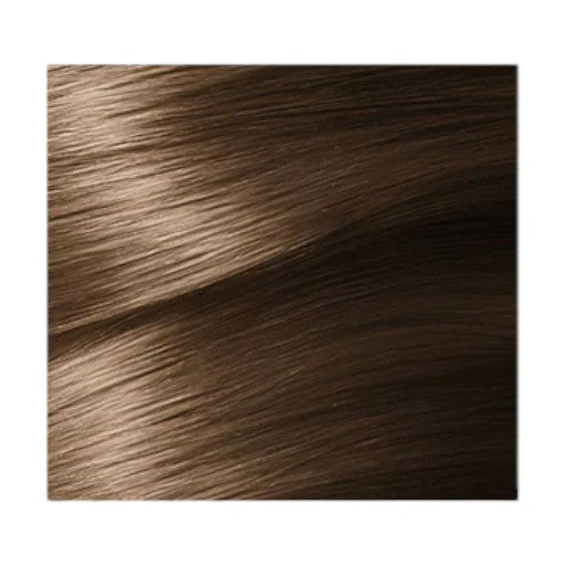 GARNIER Color Naturals No. 6.1 (Ashy Light Brown)