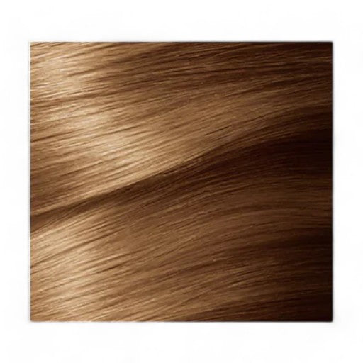 GARNIER Color Naturals No. 6.3 (Golden Light Brown)