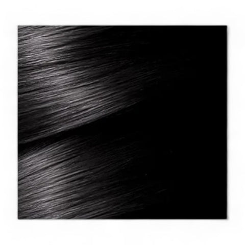 GARNIER Color Naturals No. 1 (Natural Black)