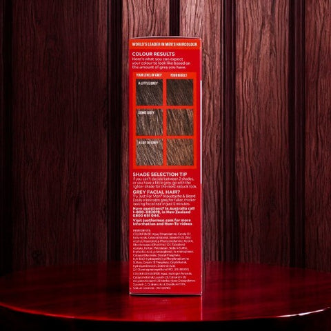 JUST FOR MEN Shampoo-In HairColor Easy Color No. H-25 (Light Brown)